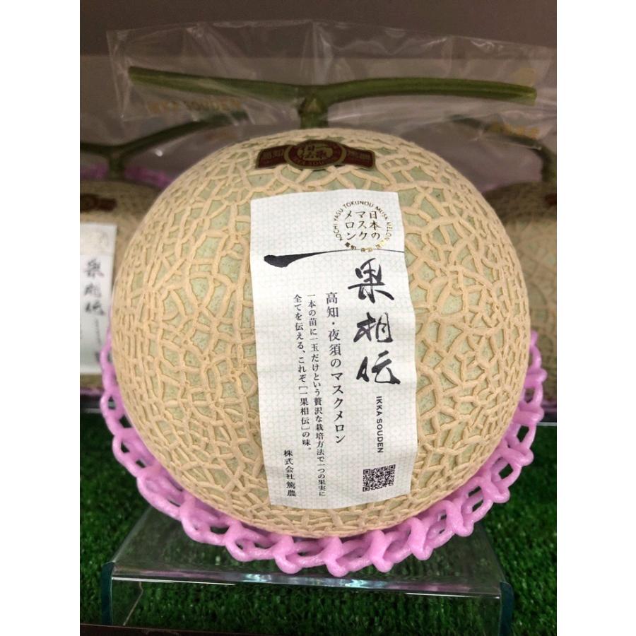 ル*ル様 訳ありメロン　高知県産　赤肉メロン　6玉入り　約8㎏（下箱込み） 一果相伝 赤肉メロン 1玉 高知産 約1.3kg以上 : 果物専門店 フルーツ