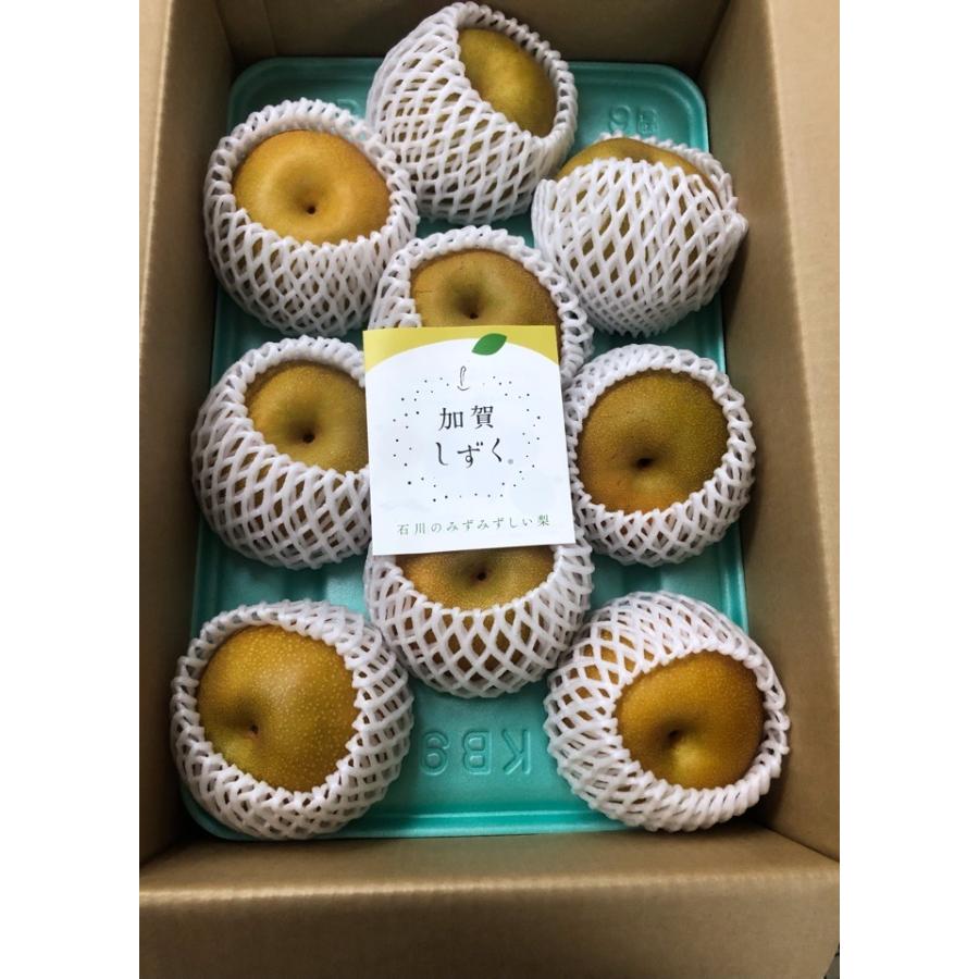 加賀しずく石川産 特秀品 大玉 8~12玉入り 約5kg : 果物専門店