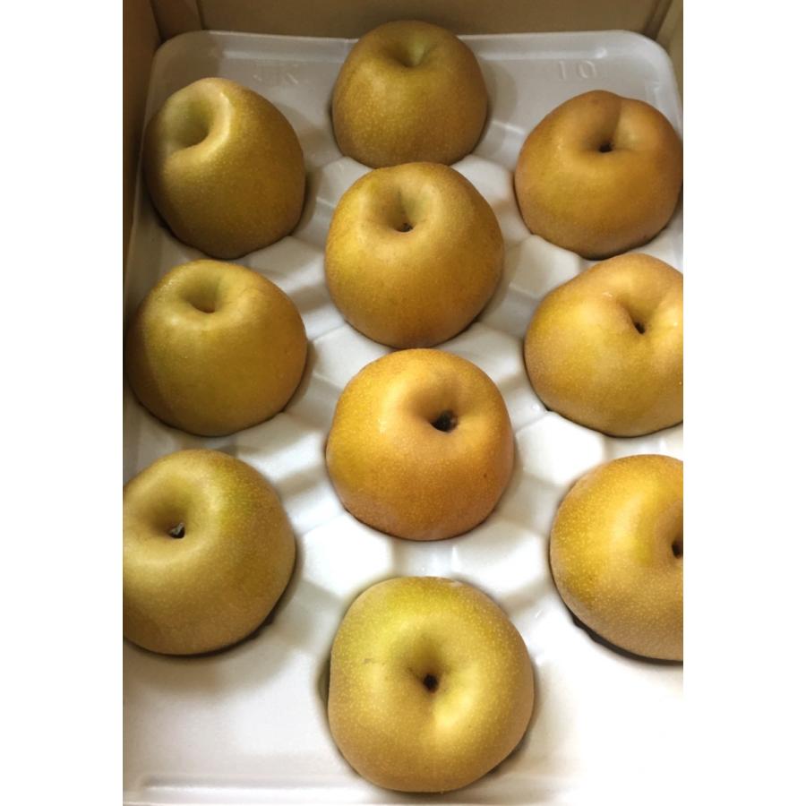 金沢梨 石川産 幸水 豊水 秋月 あきづき 南水 秀品 大玉 20~28玉入り