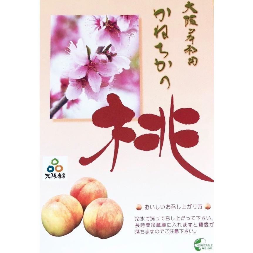 かねちかの桃 包近 大阪産 岸和田 特選 15玉入 化粧箱 : 果物専門店