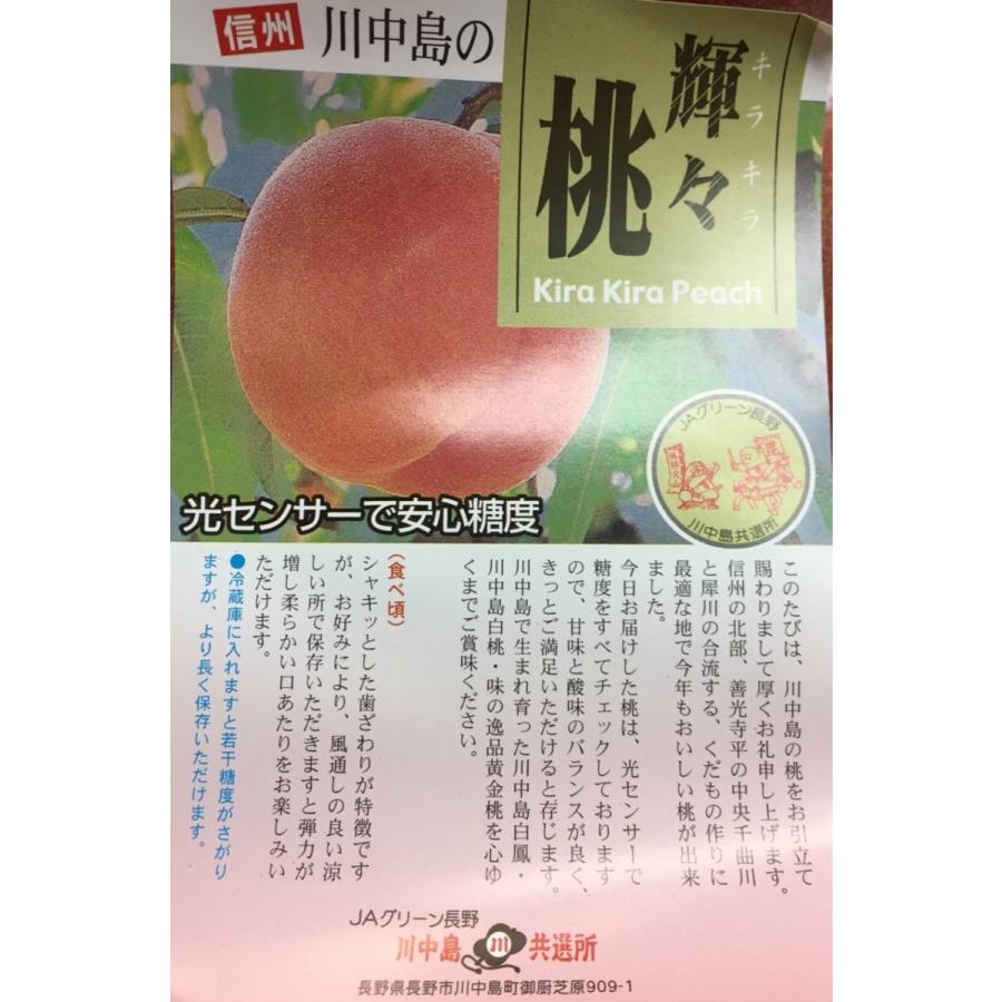 輝々 キラキラ 川中島 長野産 12〜15玉 糖度13度以上保証 約5kg