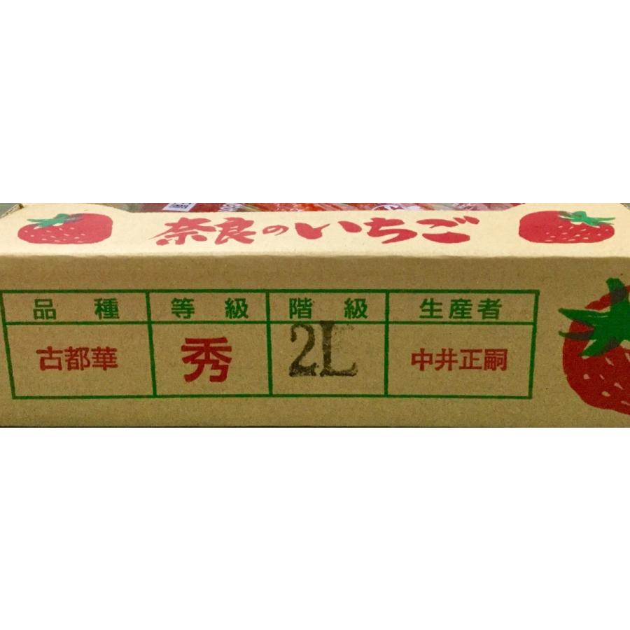 いちご 古都華 奈良産 ２Ｌサイズ×２パック｜fruits-senri｜04