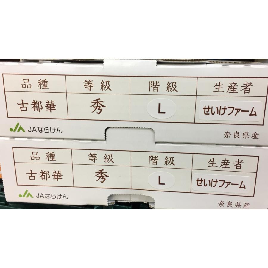 いちご 古都華 奈良産 Lサイズ×2パック : 果物専門店 フルーツ いちご 古都華 奈良産 Lサイズ×2パック : 果物専門店 フルーツ