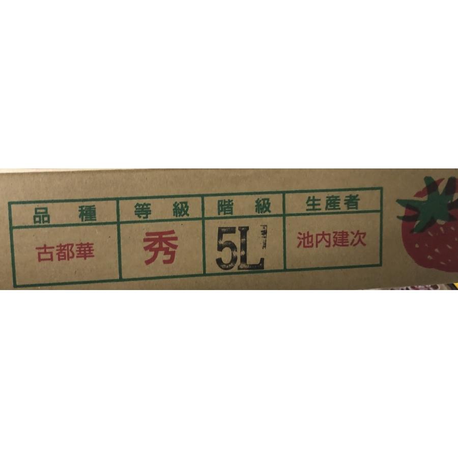 いちご 古都華 奈良産 3L~5Lサイズ×2パック : 果物専門店 いちご 古都華 奈良産 3L~5Lサイズ×2パック : 果物専門店