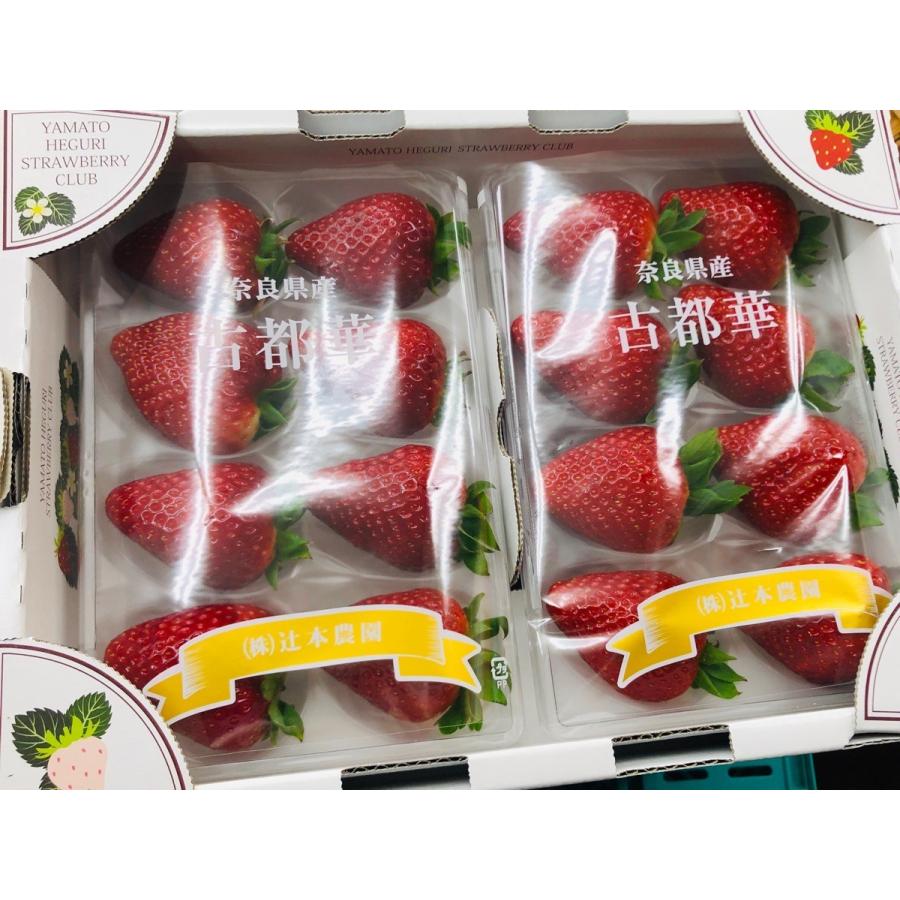 いちご 古都華 奈良産 3L~5Lサイズ×2パック : 果物専門店 いちご 古都華 奈良産 3L~5Lサイズ×2パック : 果物専門店