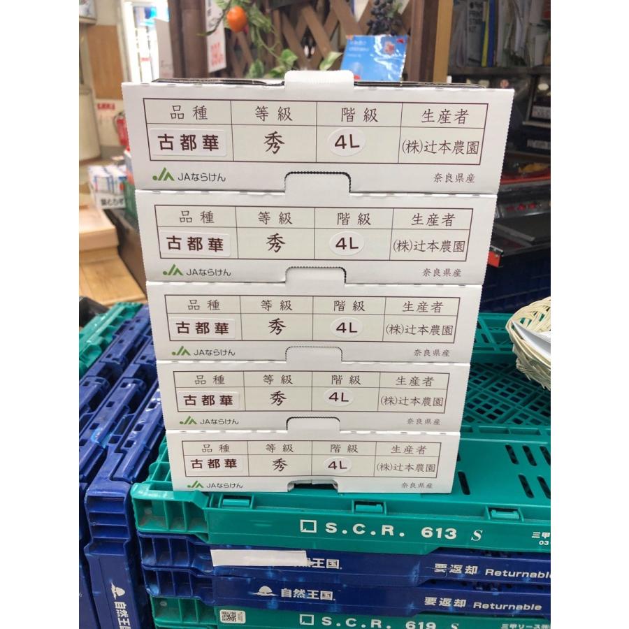 いちご 古都華 奈良産 3L~5Lサイズ×2パック : 果物専門店 いちご 古都華 奈良産 3L~5Lサイズ×2パック : 果物専門店