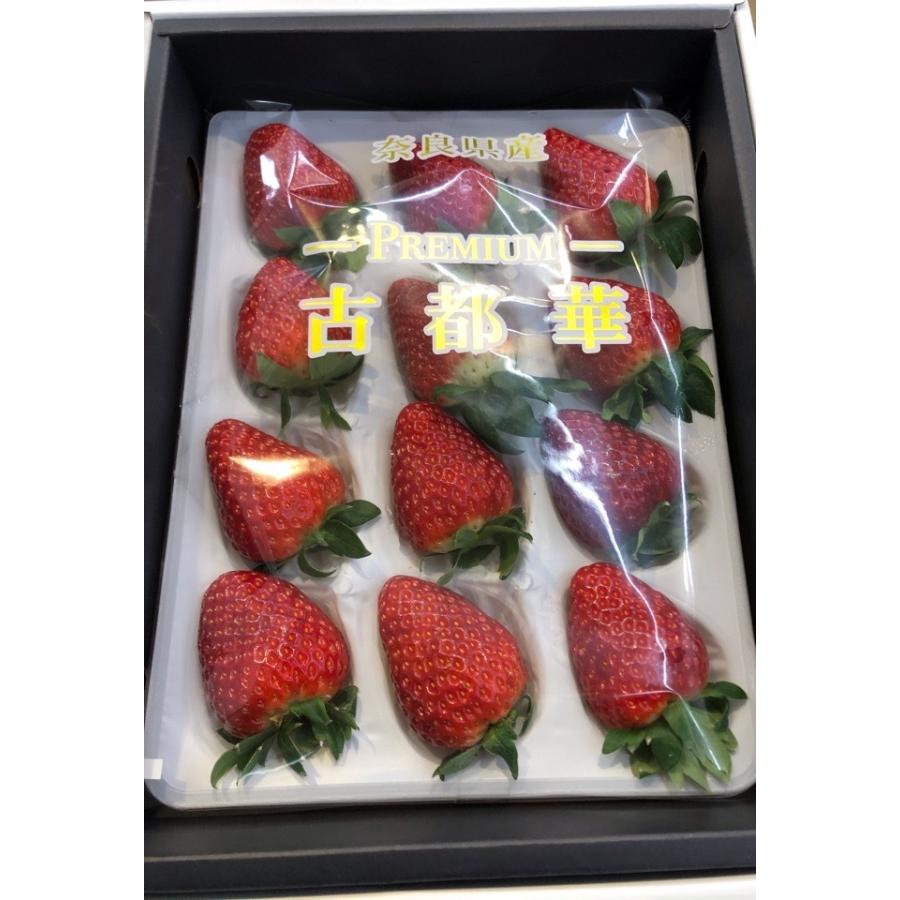 いちご 古都華 奈良産 プレミアム 化粧箱入り 9〜15粒入り : 果物専門