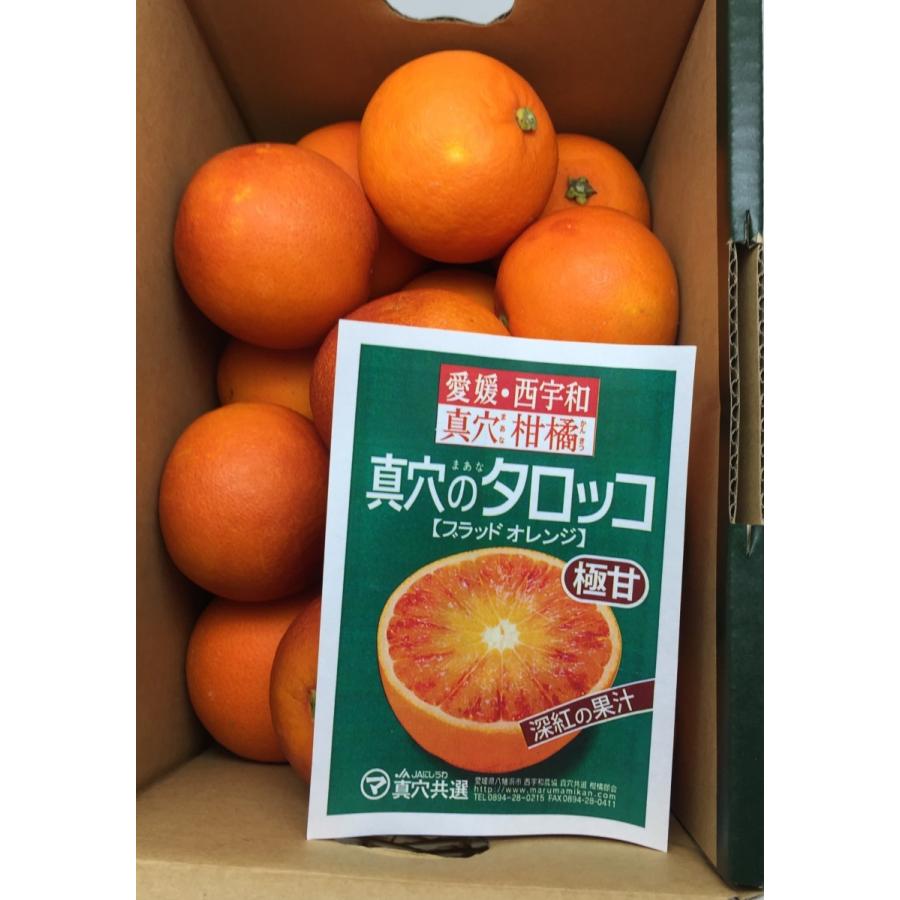 ブラッドオレンジ 真穴のタロッコ 愛媛産 ＳまたはＭサイズ 化粧箱 約