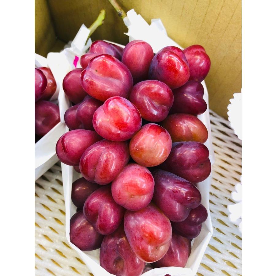 ぶどう マイハート 産地厳選 大房 1房 650g以上 : 果物専門店 フルーツ