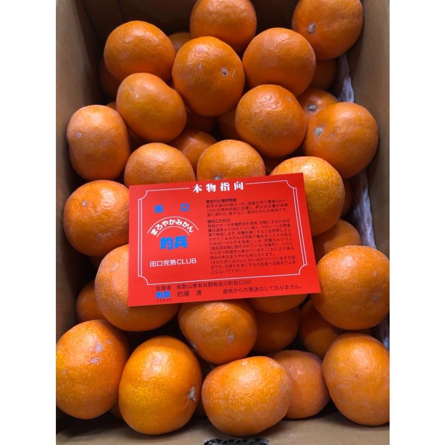 【入手困難】【L】的兵みかん/和歌山県/田口完熟CLUB/的場清/青秀5kg 完熟 みかん 的兵 有田 期間数量限定 5kg Lサイズ 送料無料 幻のみかん