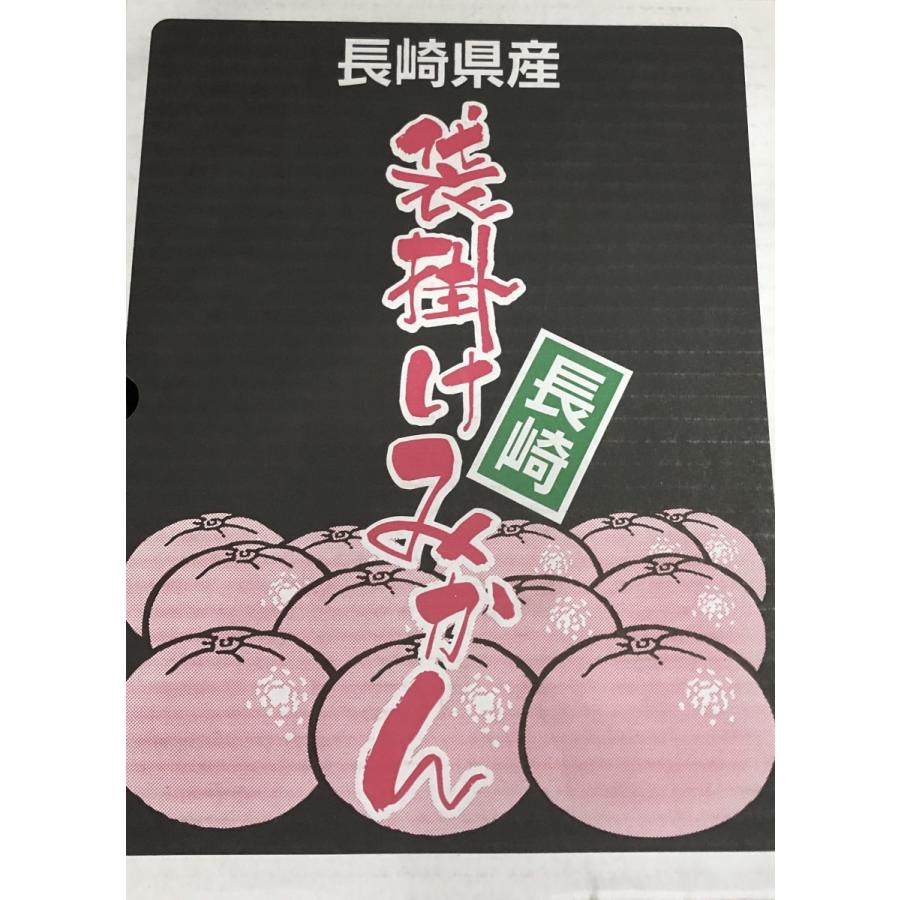 長崎 恋みかん 越冬完熟 袋掛けみかん 赤秀品 小〜大 サイズ 約4kg