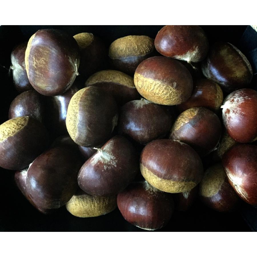 栗 利平 りへい 熊本産 または 愛媛産 または 茨城産 ３ｌまたは４ｌサイズ １ｋｇ Rihei3l4l 果物専門店 フルーツ千里 通販 Yahoo ショッピング