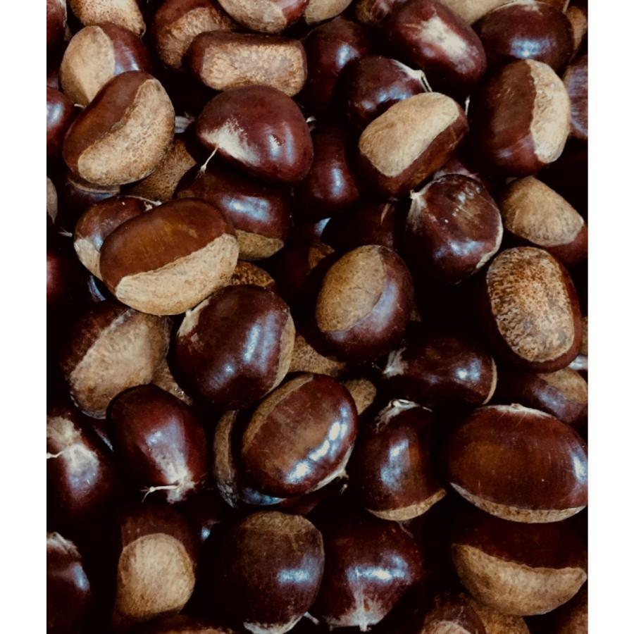 栗 利平 りへい 熊本産 または 愛媛産 または 茨城産 ３ｌまたは４ｌサイズ １ｋｇ Rihei3l4l 果物専門店 フルーツ千里 通販 Yahoo ショッピング