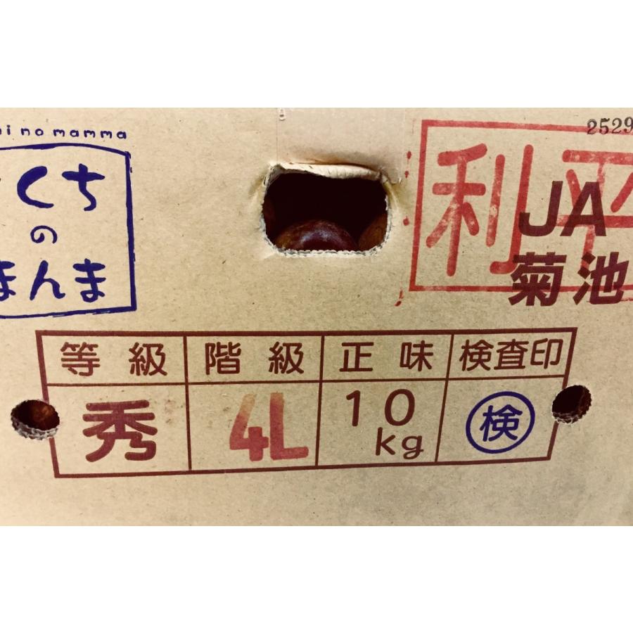 栗 利平 りへい 熊本産 または 愛媛産 または 茨城産 ３ｌまたは４ｌサイズ １ｋｇ Rihei3l4l 果物専門店 フルーツ千里 通販 Yahoo ショッピング
