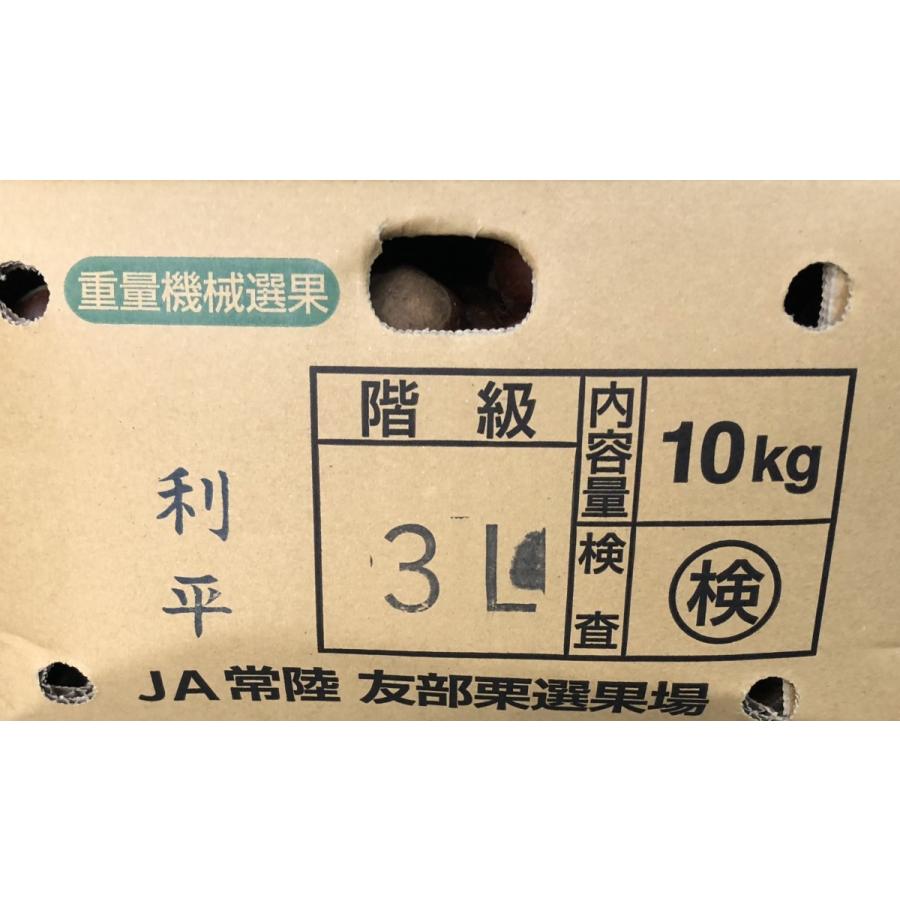 栗 利平 りへい 熊本産 または 愛媛産 または 茨城産 ３ｌまたは４ｌサイズ １ｋｇ Rihei3l4l 果物専門店 フルーツ千里 通販 Yahoo ショッピング