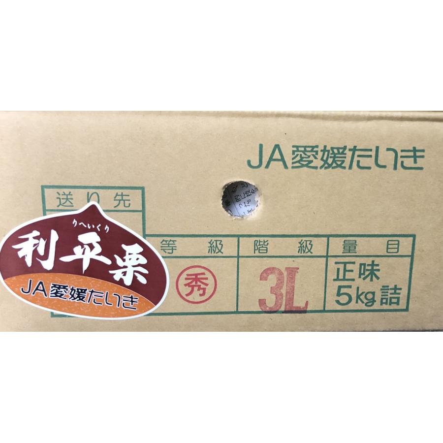 栗 利平 りへい 熊本産 または 愛媛産 または 茨城産 ３ｌまたは４ｌサイズ １ｋｇ Rihei3l4l 果物専門店 フルーツ千里 通販 Yahoo ショッピング