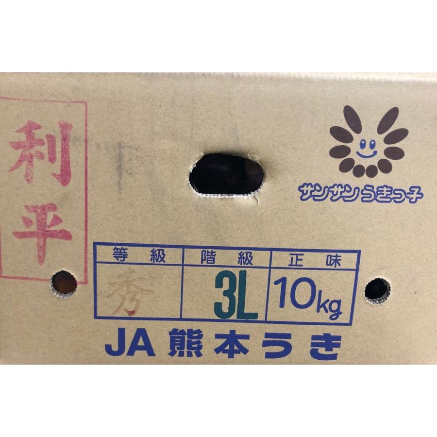 栗 利平 りへい 熊本産 または 愛媛産 または 茨城産 ３ｌまたは４ｌサイズ １ｋｇ Rihei3l4l 果物専門店 フルーツ千里 通販 Yahoo ショッピング