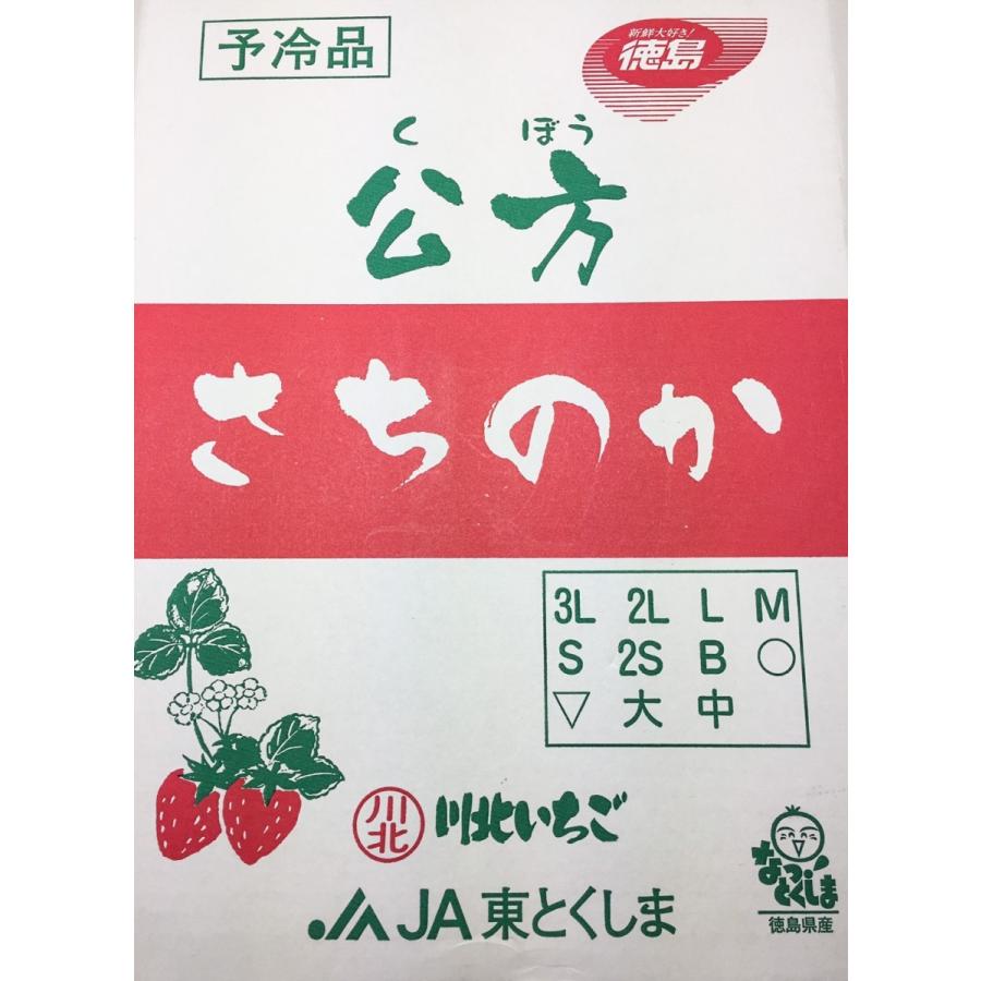 いちご 公方 さちのか 徳島産 くぼう 2Lまたは3Lサイズ 4 いちご 公方 さちのか 徳島産 くぼう 2Lまたは3Lサイズ 4