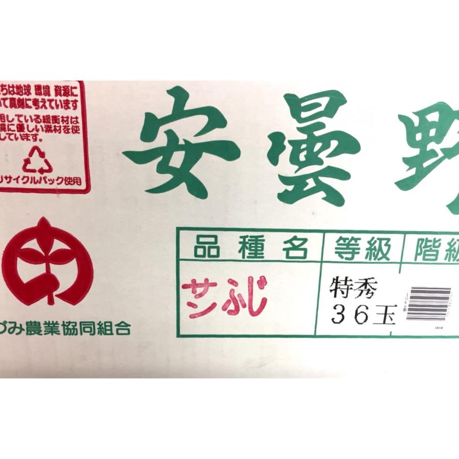 お歳暮 りんご サンふじ 長野産 18玉 特秀品 安曇野 : 果物専門店