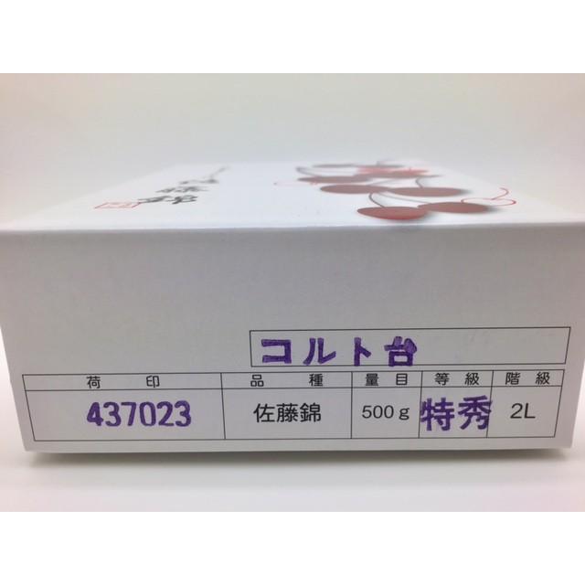 お中元　さくらんぼ　佐藤錦 山形産 特秀または秀品 2L~3L 500g 化粧箱入り｜fruits-senri｜03