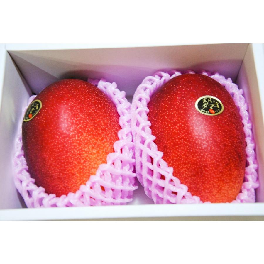 厳選 4L特大玉 2玉 太陽のタマゴ 化粧箱付 宮崎県特産完熟マンゴー お中元 絶品【太陽のタマゴ】宮崎完熟マンゴー 4L大玉 2個 父の日 還暦祝