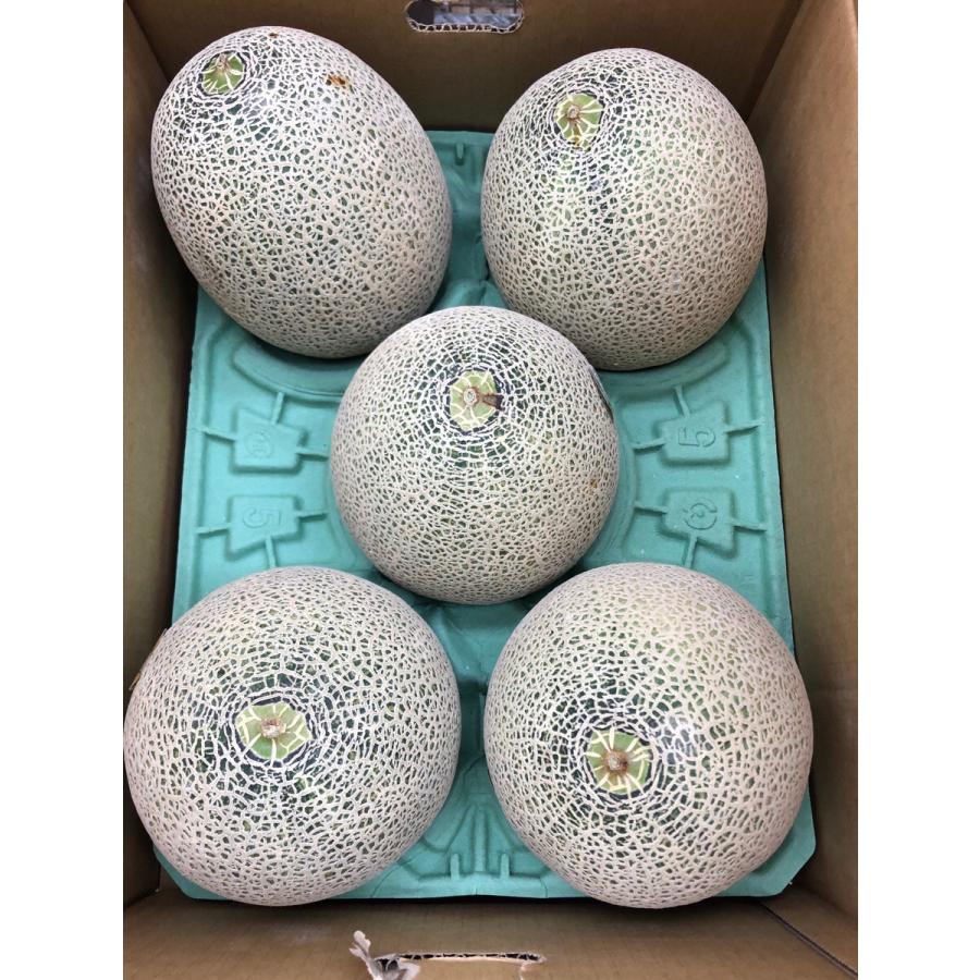 タカミメロン プレミアム 青森産 糖度17度以上 4~6玉入り 約8kg : 果物