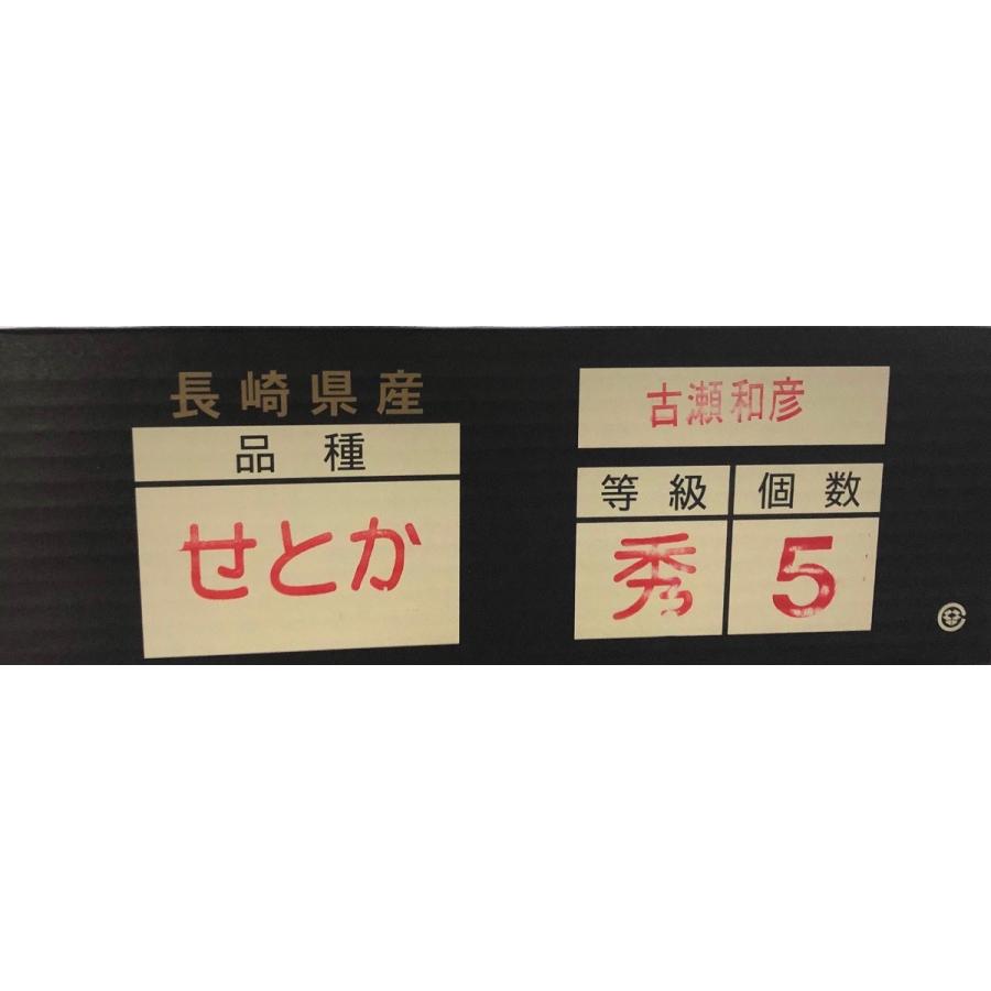 せとか 長崎産 匠の味 マルナン 5〜9玉入り 秀品 化粧箱 約 せとか 長崎産 匠の味 マルナン 5〜9玉入り 秀品 化粧箱 約