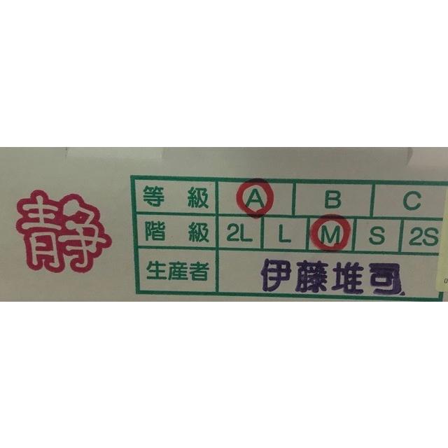 フルーツトマト トマトダ 静岡産 約2kg サイズおまかせ : 果物専門店