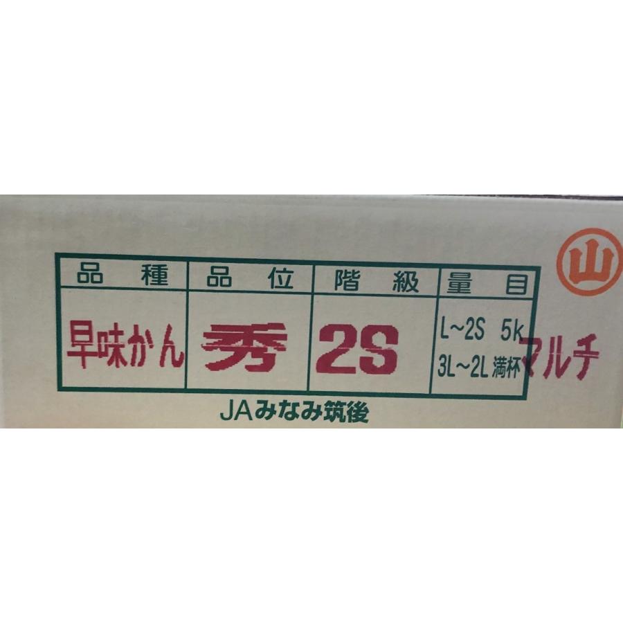 専用出品です。S様ご注文分 福岡聖菜 山﨑空 他 猫箱(小) 6個入り(ねこさく×6) | 【公式】イオン九州オンライン