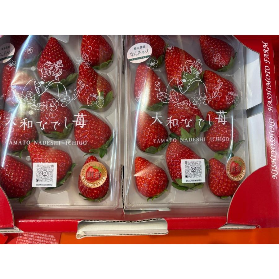 いちご 大和なでし苺 ならあかり 奈良産 2L~5Lサイズ×2パック : 果物