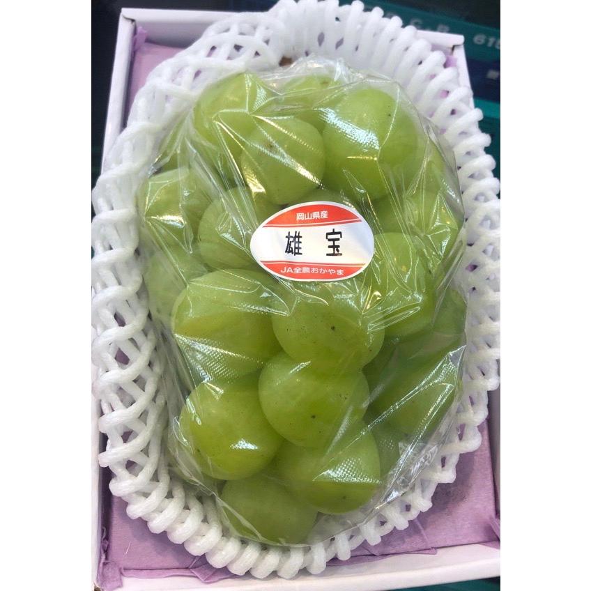 ＜送料無料＞岡山産 　超特大　雄宝ぶどう 1.2kg以上 　1房入 家庭用雄宝（ゆうほう）ぶどう2房入1.7キロ以上 薄皮ジューシー 一粒の
