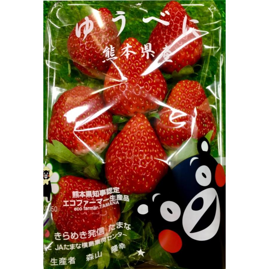 いちご ゆうべに 熊本産 2Lまたは3Lサイズ 4パック入り 秀品