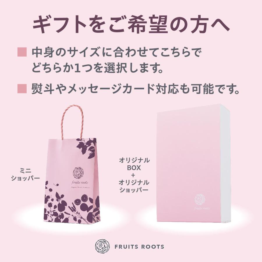 マツコの知らない世界で紹介 フルーツルーツ ドライフルーツ マンゴー