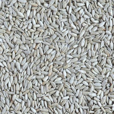 ひまわりの種（ロースト・ブルガリア産）400g　【ヒマワリの種】 |  | 01