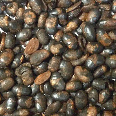 黒豆茶230g（包装込）※ティーバッグ | 