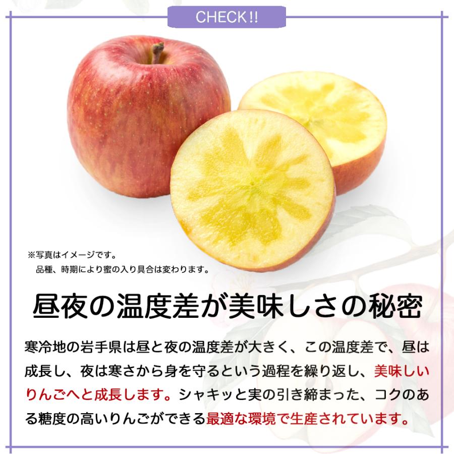 小玉 りんご 訳あり 産地直送 岩手県産 サンふじ 2kg 8玉から 小玉 りんご 訳あり 産地直送 岩手県産 サンふじ 2kg 8玉から
