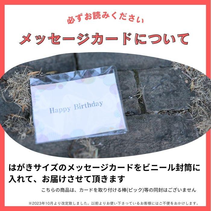 BOX ブーケ 花束 花 プレゼント 生花 バラ タグ付き フラワーギフト 誕生日 結婚 退職 送別 記念日 お祝 卒業 入学 ペット 花瓶不要｜fs-come｜16