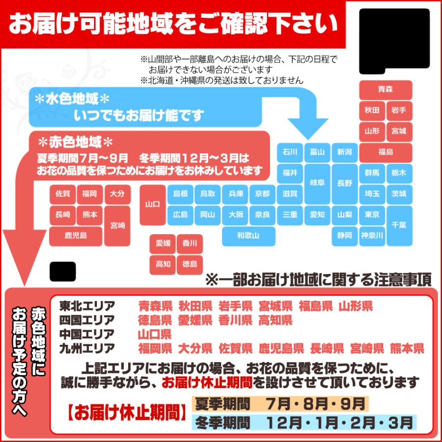 【3本立】胡蝶蘭 花 鉢 蘭 開店 就任 御祝 誕生日 退職 喜寿 古希 卒寿 ギフト 贈答 彼岸 祝い プレゼント【27輪の青い胡蝶蘭〜ブルーエレガンス〜】 爆買_14