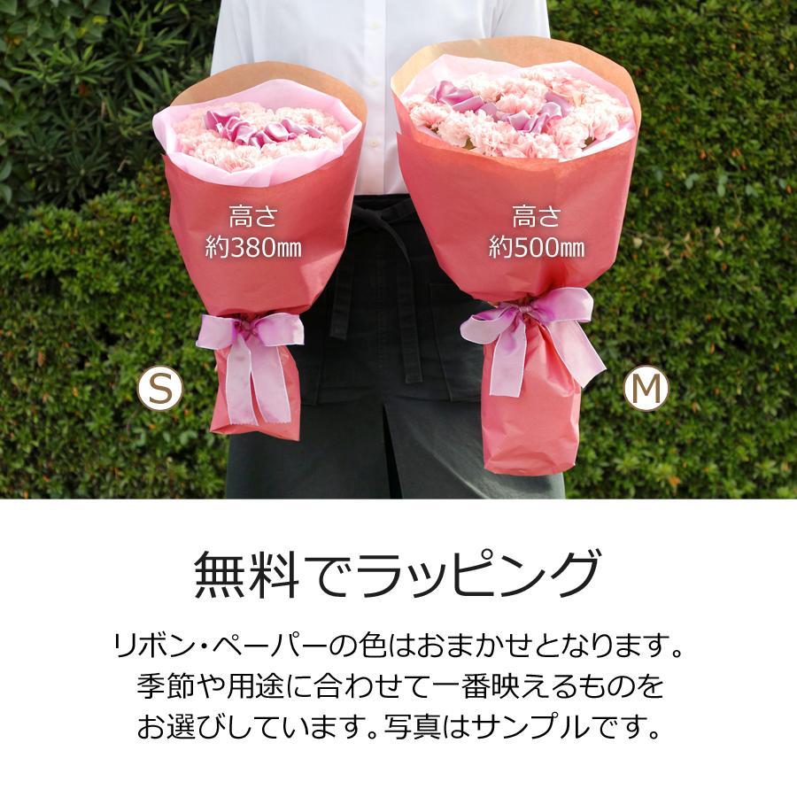 花夢ハート プロポーズ 花束 プレゼント 花 ギフト 誕生日 結婚祝い 退職祝い 送別会 記念日 ペット カーネーション バラ Come Heart1 フラワーショップ花夢 ヤフー店 通販 Yahoo ショッピング