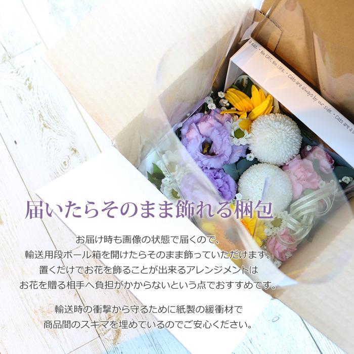 猫】ペット お供え 御供 仏花 墓花 花かご ねこ にゃんこ おねこ ネコ