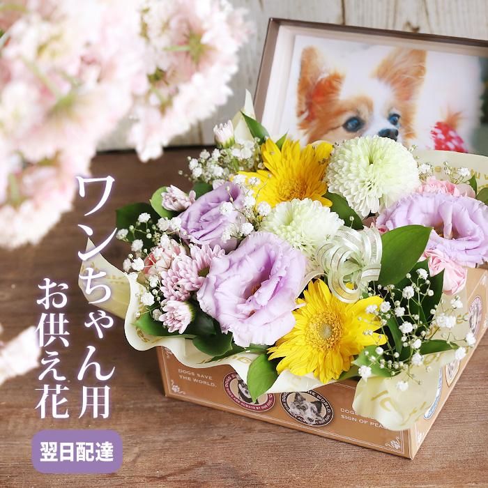 わんこ用 犬 お供え花】ペット 御供 仏花 墓花 フラワーアレンジ