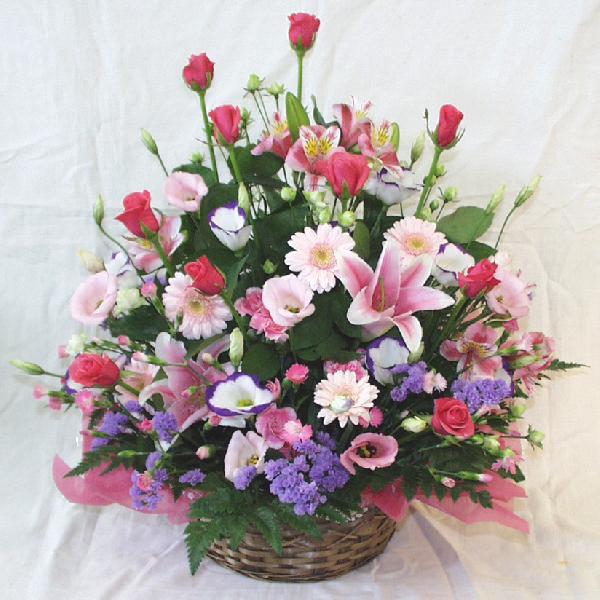 格安 送料 税込価格 開店 改装 楽屋花のアレンジをおまかせで 開店 改装 楽屋花用 の大きいサイズのフラワーアレンジメント メッセージカード 商品画像配信付き Arf01 70 生花 Storagesolutioncville Com