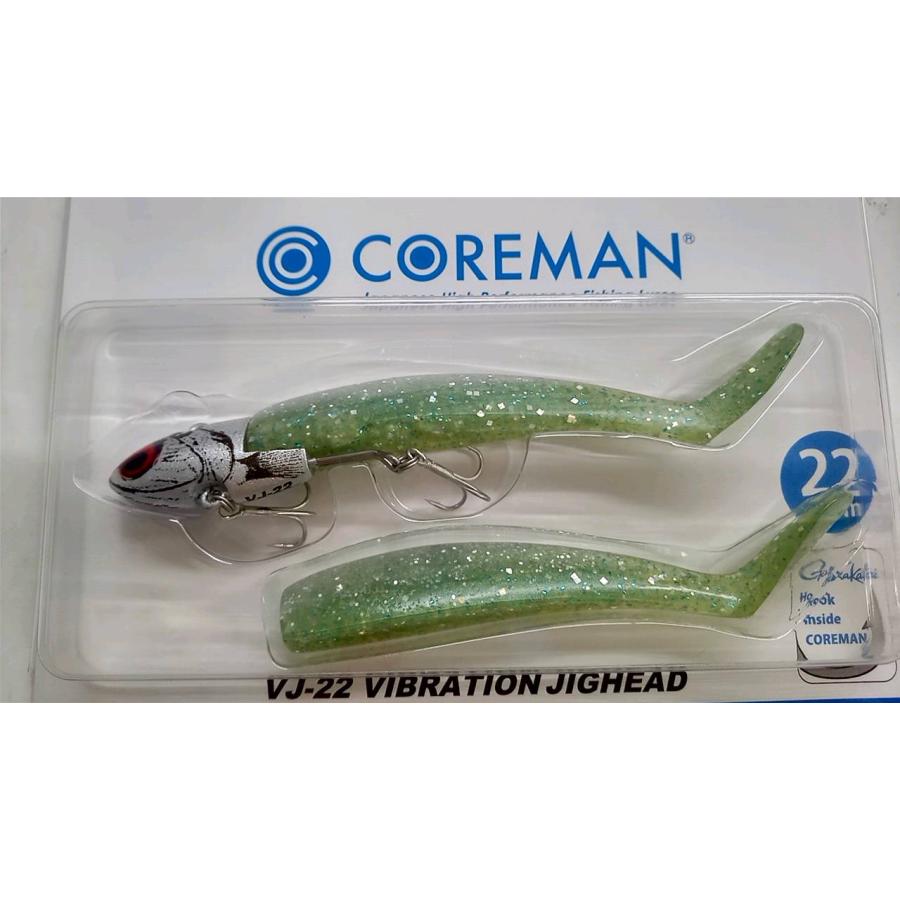 COREMAN（コアマン） VJ−22 バイブレーションジグヘッド : 坂井