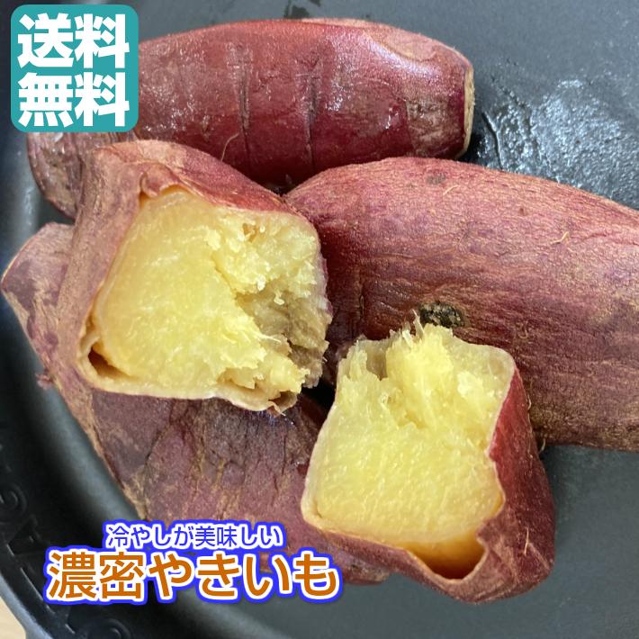 冷やし 濃密やきいも 2.4kg／240gパックが10袋 送料無料（冷蔵 濃密 