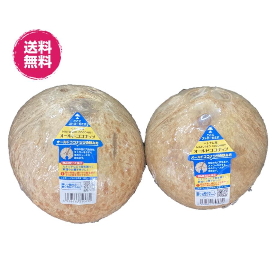 送料無料 成熟オールドココナッツ 10玉 ココナッツ 10玉 ココヤシ ヤシノミ ココナッツ 美味しい ココナツ ベトナム産 フルーツ 果物 青果 サイズ込 横浜ポット 通販 Yahoo ショッピング