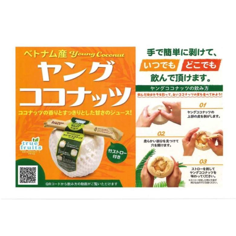 ベトナム ヤングココナッツ 2箱 　（12玉入/箱）　約22KG 送料無料】ヤングココナッツ 12玉（ヤングココナッツ 12玉） ココヤシ