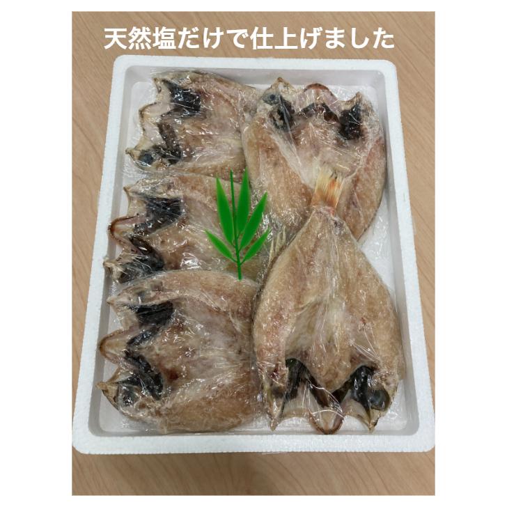 横浜ポット 島根県 香住屋 どぐろ一夜干しセット 大 冷凍 のどぐろ一夜干 大 3 5枚 約800g 産直 ギフト 贈り物 日本海の味 手作り 横浜ポット 通販 Yahoo ショッピング