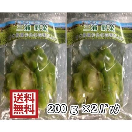 本島送料無料 青木さんの三浦 ザーサイ浅漬け 徳用 0g 2パック 産直 236 横浜ポット 通販 Yahoo ショッピング