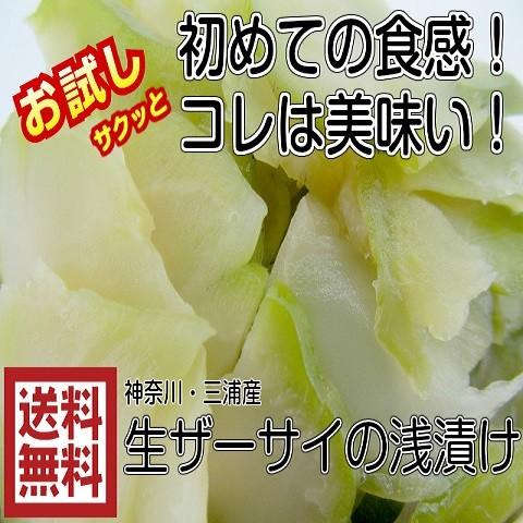 送料無料 青木さんの三浦（青ザーサイ 浅漬け 徳用 500g） 冷凍便