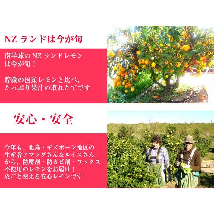 防ばい剤不使用（メイヤーレモン NZ産 1kg クール便）防腐剤
